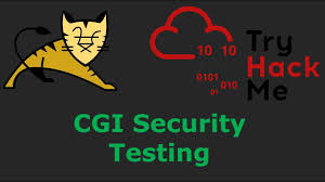 cgi and tomcat security testing with