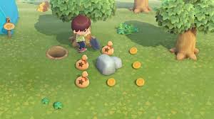 More Rocks In Animal Crossing New Horizons
