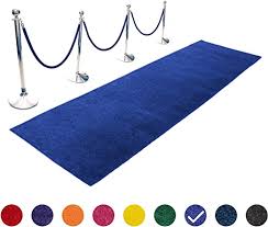 royal blue isle runner w 6 stanchions