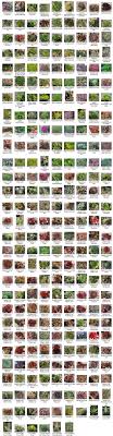 Succulent Identification Chart Growing Info Climate Zones