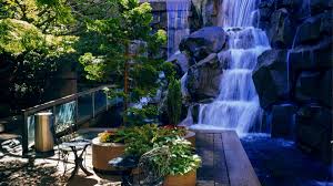 waterfall garden park seattle foto