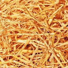 images?q=tbn:ANd9GcTvH-jxcTpdf0O5Qhx99zWIV32QpbbnMzEnsg&s