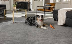best flooring for dogs