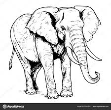 irasi sketsa gambar tangan gajah