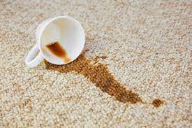 spilled coffee on the carpet learn how