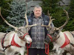 hs2 reindeers to visit parliament with