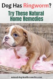 home remes to treat ringworm in dogs