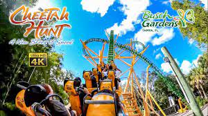 ride 4k pov busch gardens ta 2022