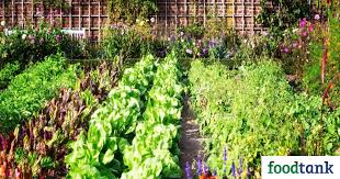 Can Climate Victory Gardens Help Solve