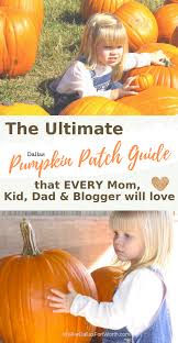 The Ultimate 2019 Dallas Pumpkin Patch Guide That Every Mom
