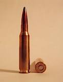 Image result for 7mm 08 ammo