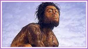 Febbraio 18, 2019 l' uomo di neanderthal (o homo neanderthalensis) è un ominide estinto, vissuto nel paleolitico, tra 200 mila anni fa e 40 mila anni fa. Il Paleolitico Come Viveva L Uomo Di Neanderthal