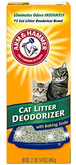 cats litter box