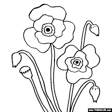 Poppy Flower Coloring Page Poppy Coloring Coloring Flowers