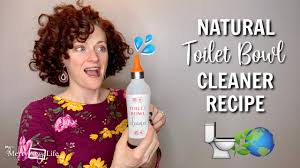 diy natural toilet bowl cleaner recipe