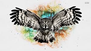 | see more owl wallpapers beautiful, cute owl looking for the best owl backgrounds? Owl Backgrounds Wallpaper Cave