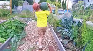 First Vegetable Garden