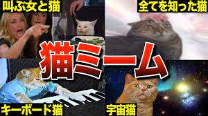 4選】5分でわかる猫のネットミームまとめPart2【海外ミーム解説53】 - YouTube