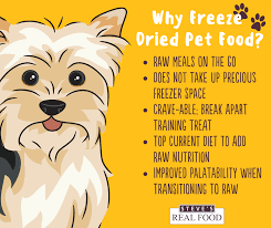 Others want to save the animal so that it can be buried with them when they die. With Freeze Dried Pet Foods The Raw Sandys Pampered Pets Indiana Pa Facebook