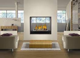 Gas Fireplace Insert Wall Room Divider