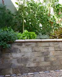 Walls Paving Young Garden Design