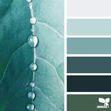 Color Palettes Aka Design Seeds