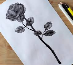 12 unique rose drawings images made by