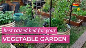 best raised bed for your veggie garden
