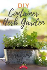 Diy Herb Container Garden The Kitchen