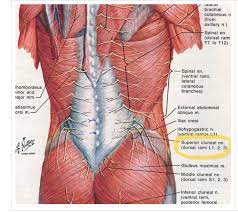 back pain to cluneal neuropathy