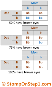 The punnett square is a diagram used to predict the result of a breeding experiment through analysing predictable traits which will be passed on genetically by each organism. Genetic Inheritance Autosomal Dominant X Linked Recessive Mitochondrial Disease Stomp On Step1
