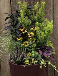 Fall Container Gardens