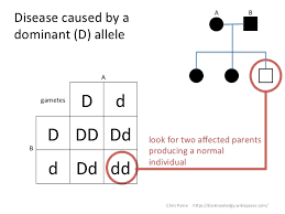 Idiots Guide To Analysing Pedigree Charts