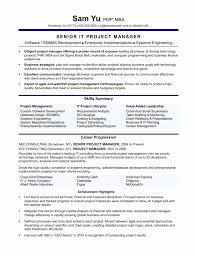 12 Resume For Entry Level Program Manager Business Letter