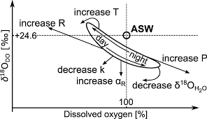 Dissolved Oxygen Isotope Modelling
