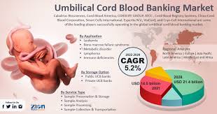 umbilical cord blood banking market