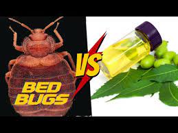 does neem oil really work for bed bugs