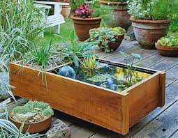 Container Water Gardens For Small