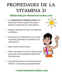 La vitamina d es un nutriente presente en ciertos alimentos que es necesario para la salud y para mantener los huesos fuertes. Propiedades De La Vitamina D Botanical Online