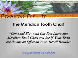 Meridian Tooth Chart How Tooth Decay Affects The Entire