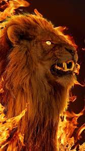 Berserk, angry, angry lion, animal ...