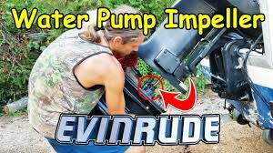 evinrude outboard water pump impeller