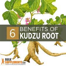 kudzu root benefits dosage side