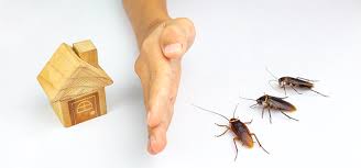 what attracts roaches into the