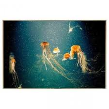 Jellyfish Glass Art Picture 120cm X 80cm