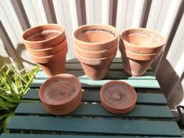 terracotta pots in adelaide region sa