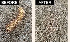 carpet cleaning color repair dryex