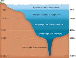 the 5 vertical zones of the ocean s