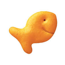 Image result for angry goldfish cracker