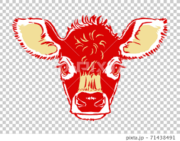 Jersey Cow Calf Face Brush Drawing Two